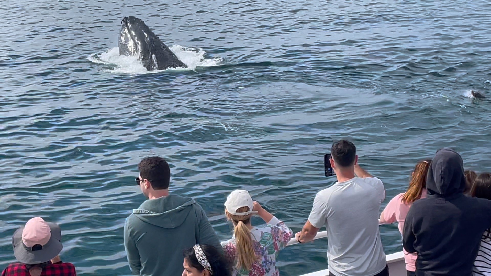 a group of people standing next to a body of water