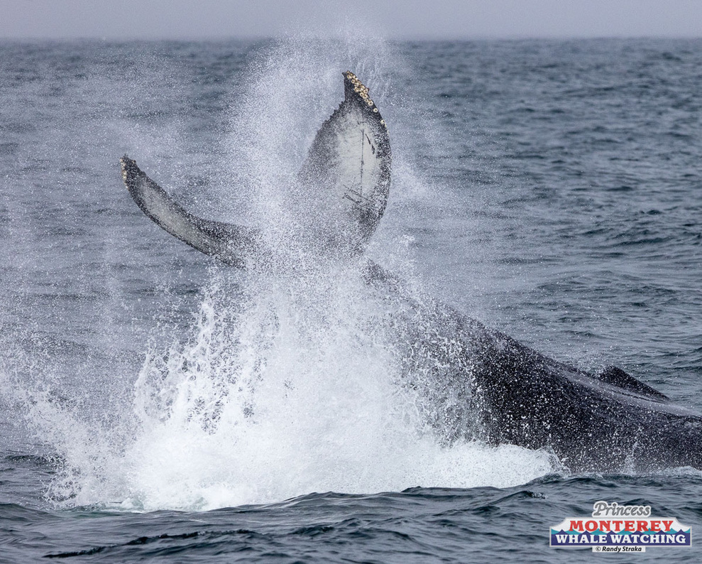 a man riding a wave on top of a body of water