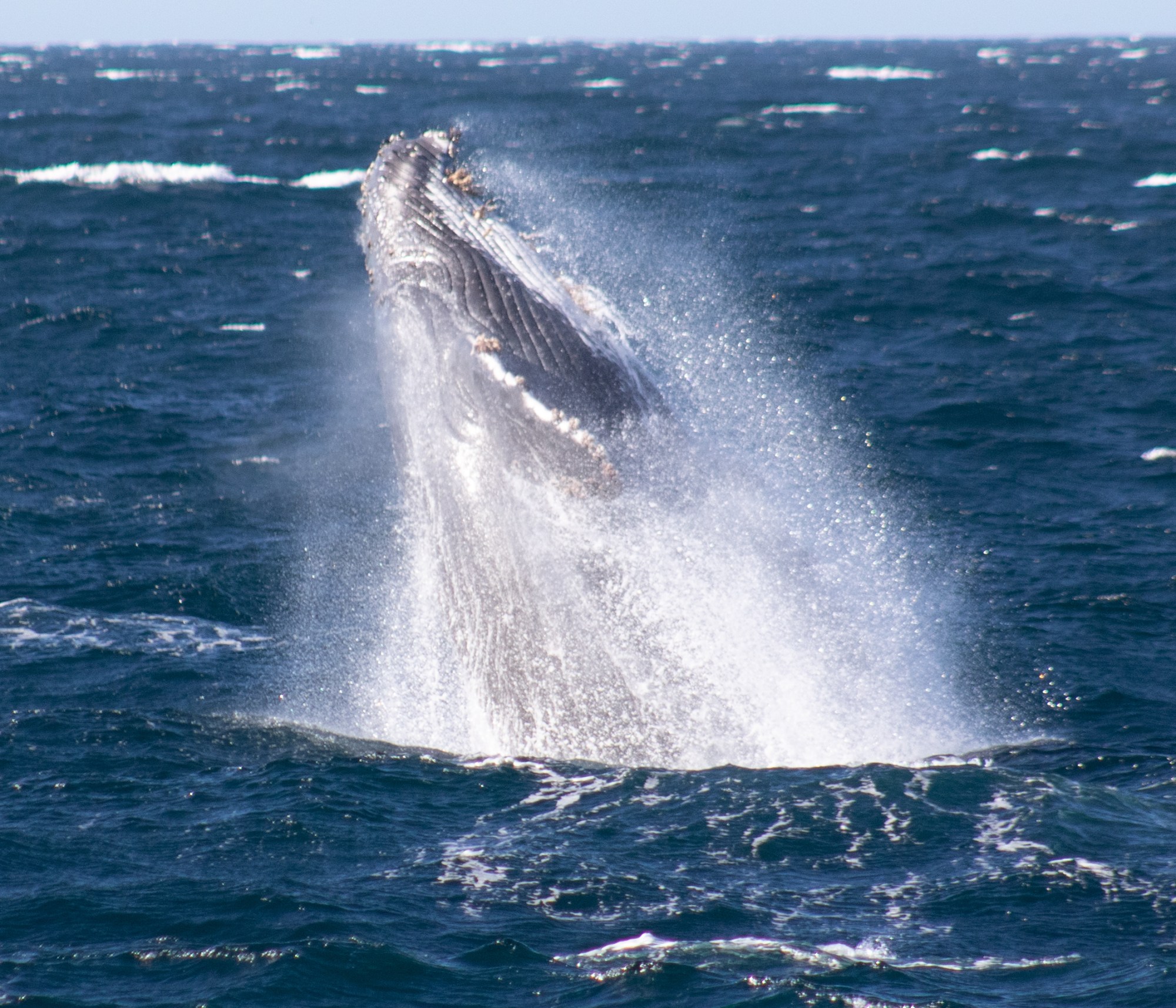 a man flying through the air while riding a wave in the ocean