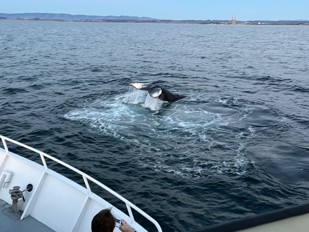 a small boat in a body of water