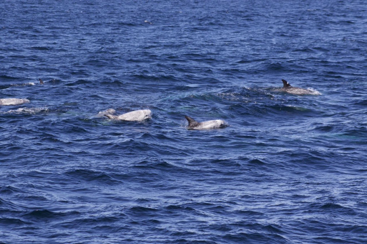 a man riding a wave on top of a body of water