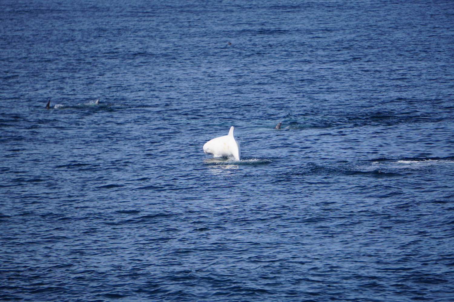 a small boat in a large body of water