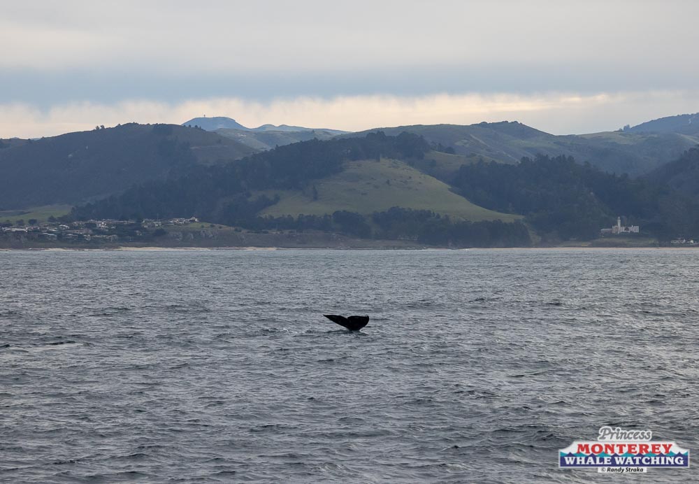 a small boat in a body of water with a mountain in the background