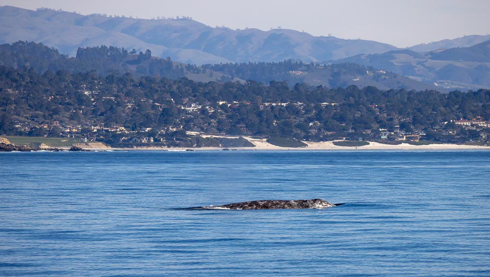 a large body of water with a mountain in the background