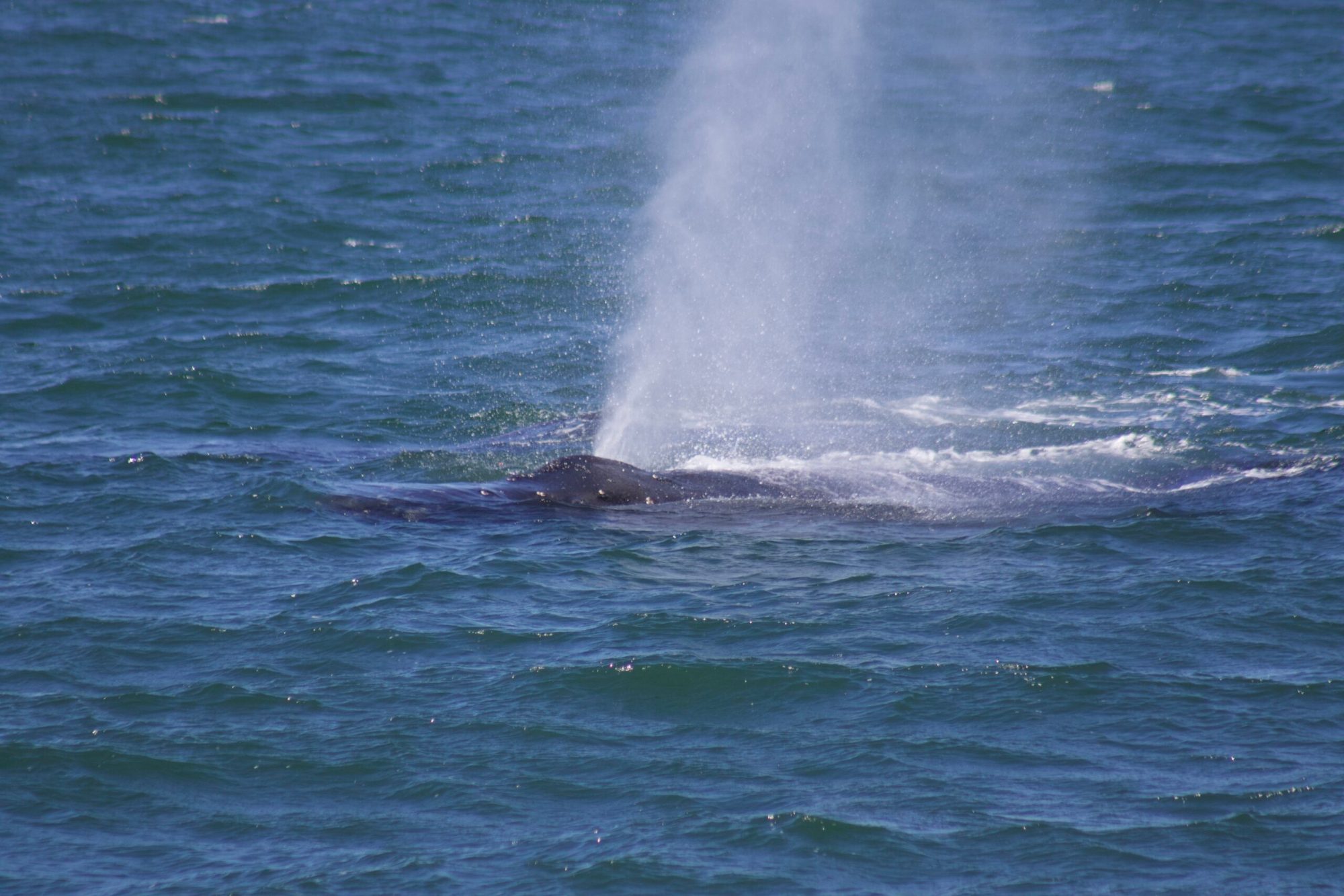 a man riding a wave on a surfboard in the water