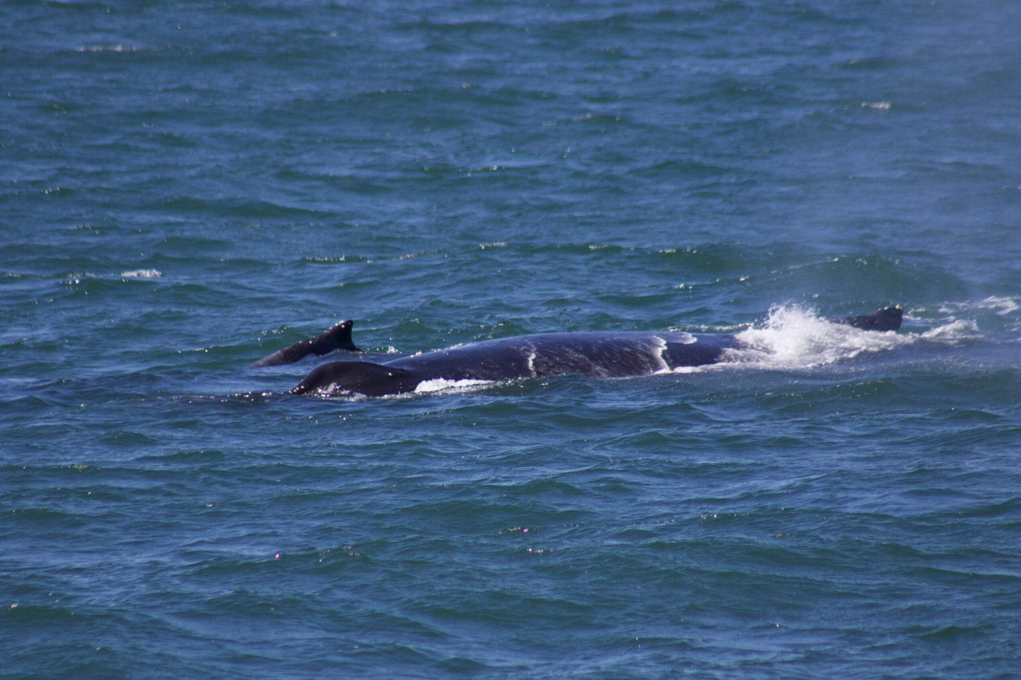 a man riding a wave on a surfboard in the water