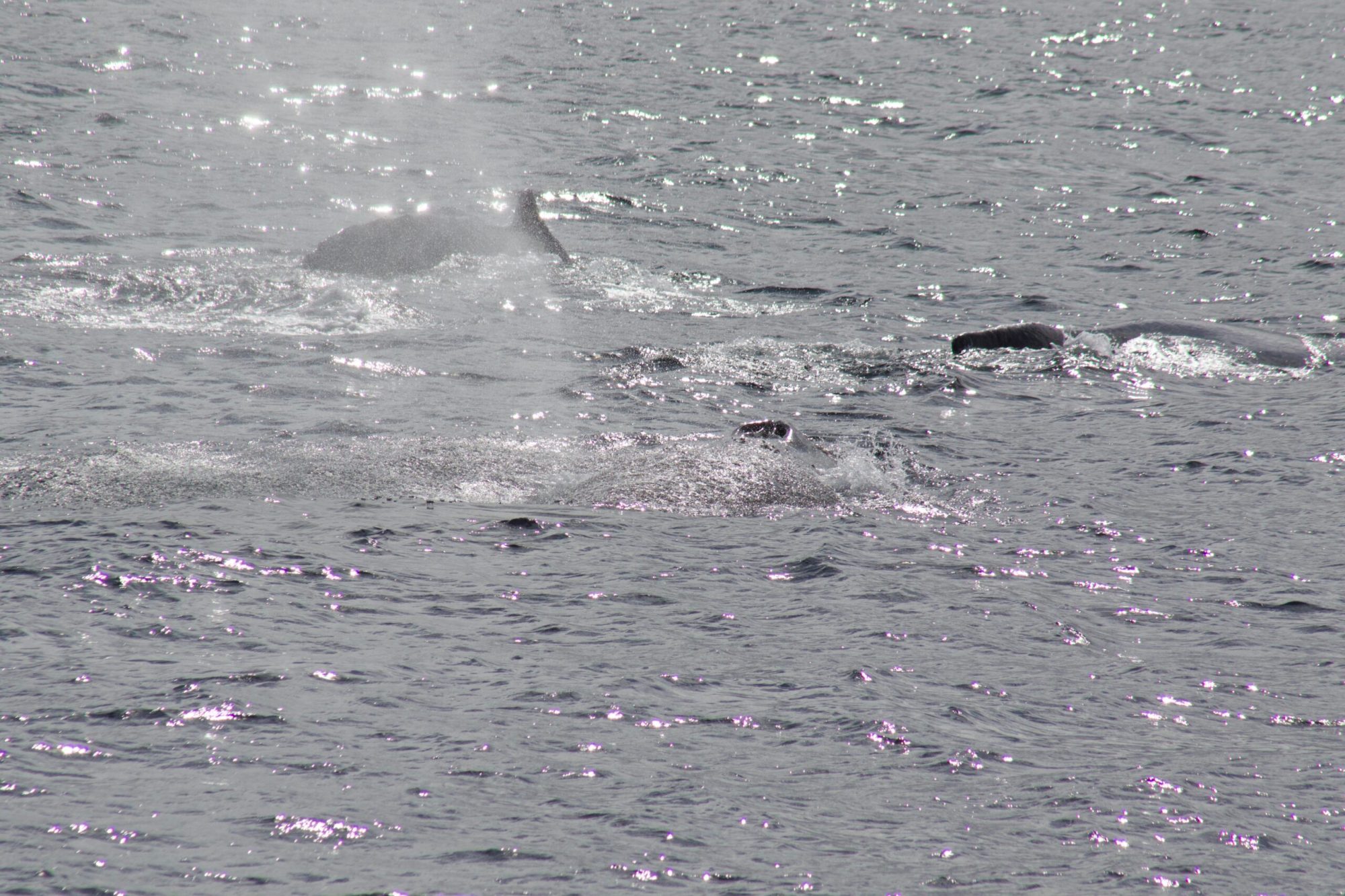 a group of people on a beach