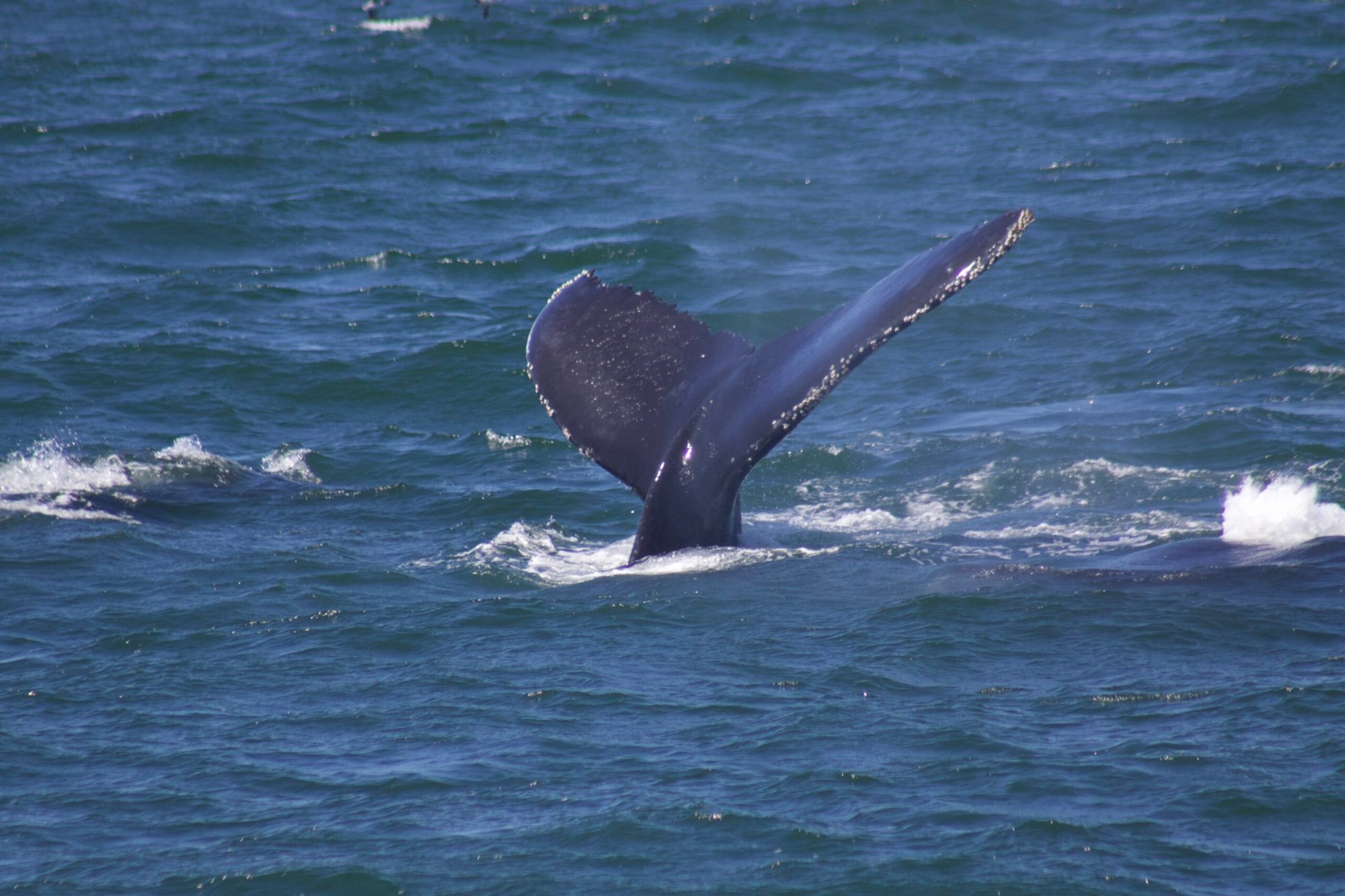 a man riding a wave on a surfboard in the water