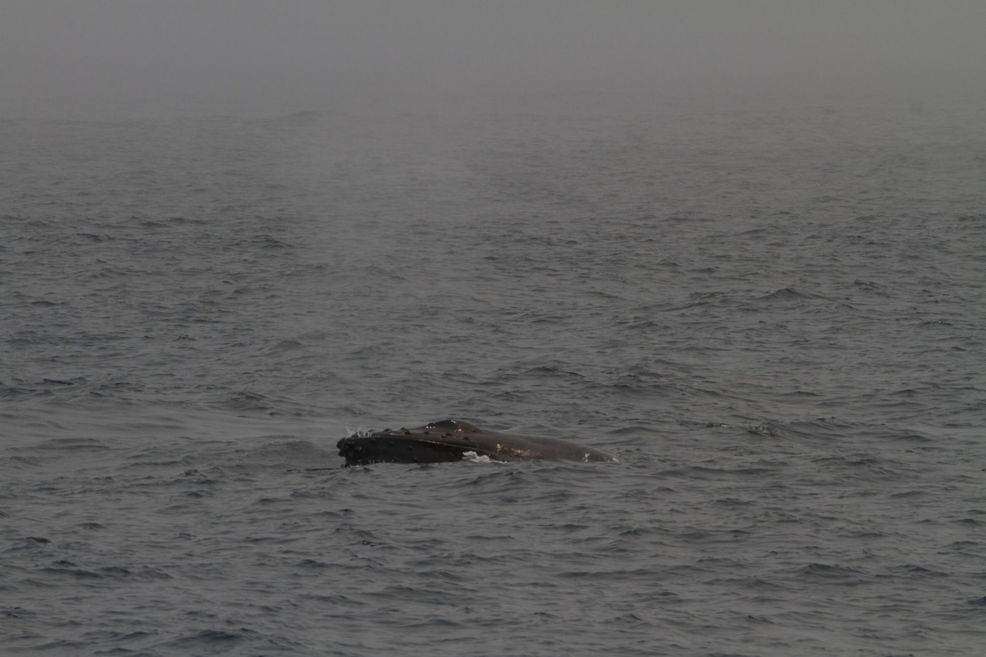 a large body of water