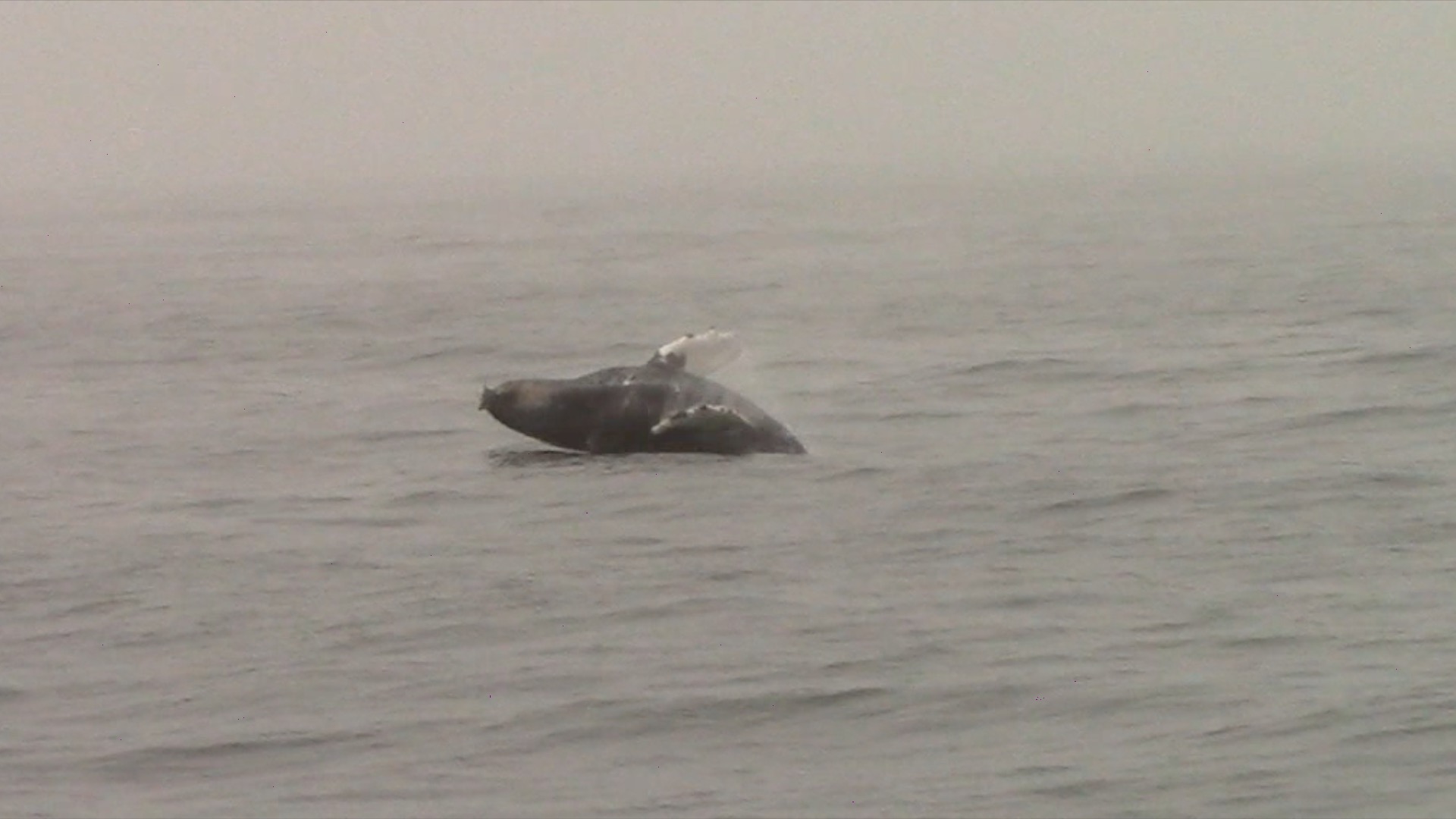 a large body of water