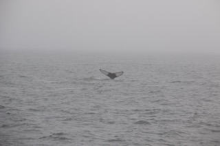 a man standing next to a body of water