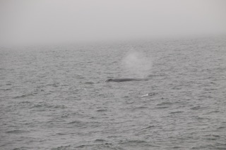 a man standing next to a body of water