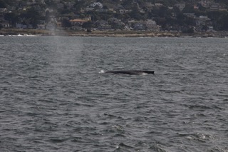 a large body of water