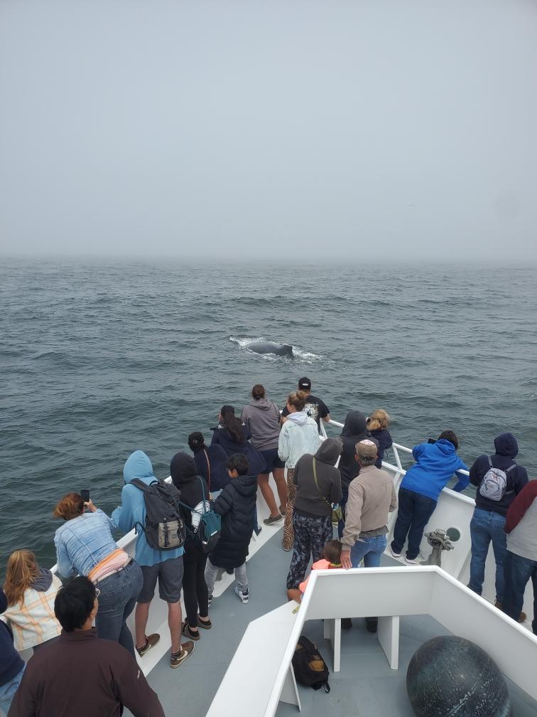 a group of people standing next to a body of water