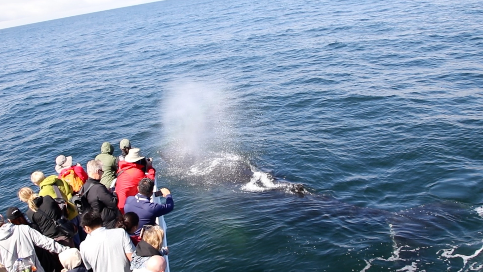 a group of people riding skis on a body of water