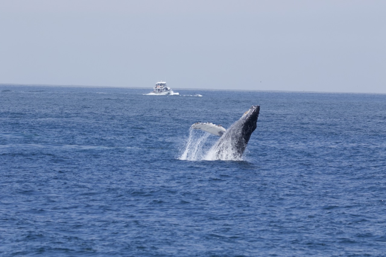 a small boat in a body of water