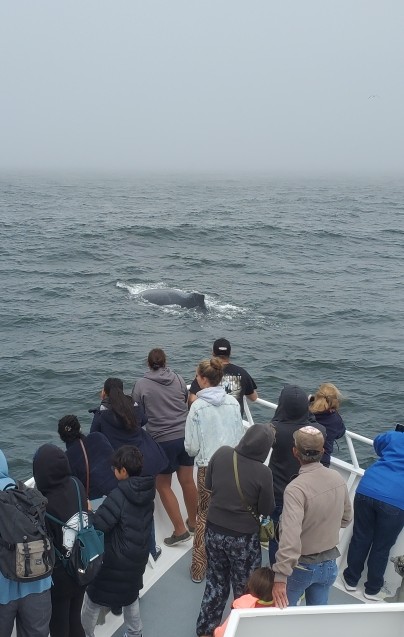 a group of people in the water