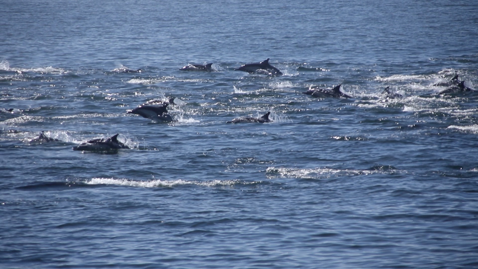 water next to the ocean