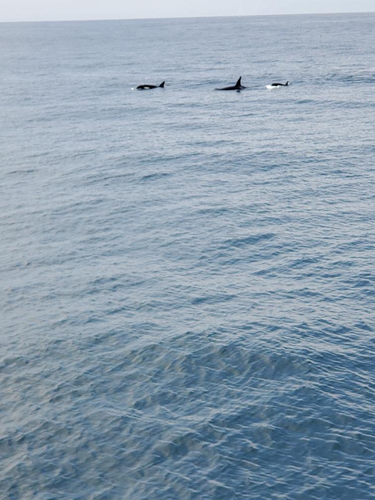 a large body of water