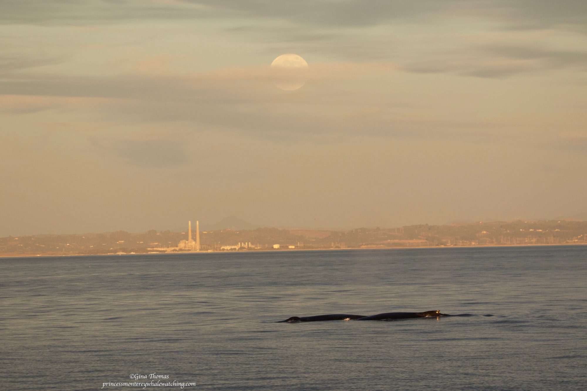 a large body of water
