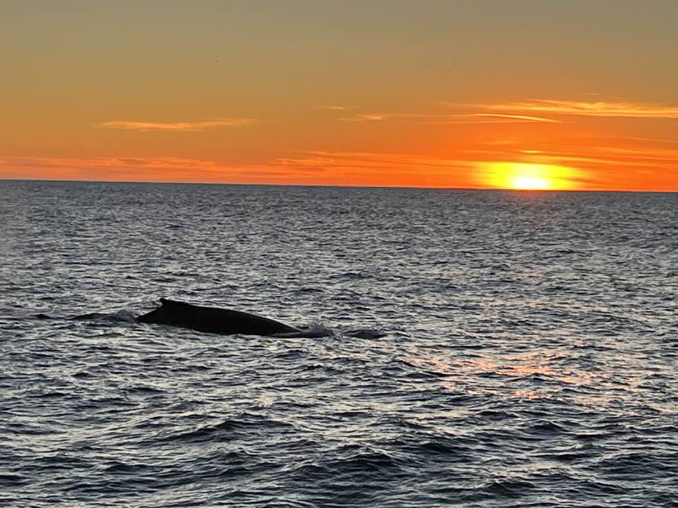 a sunset over a body of water