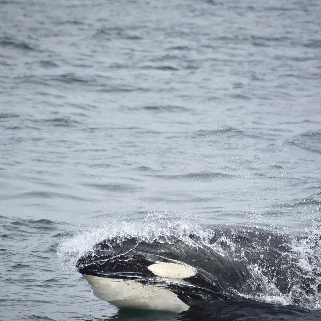 a man riding a wave on top of a body of water