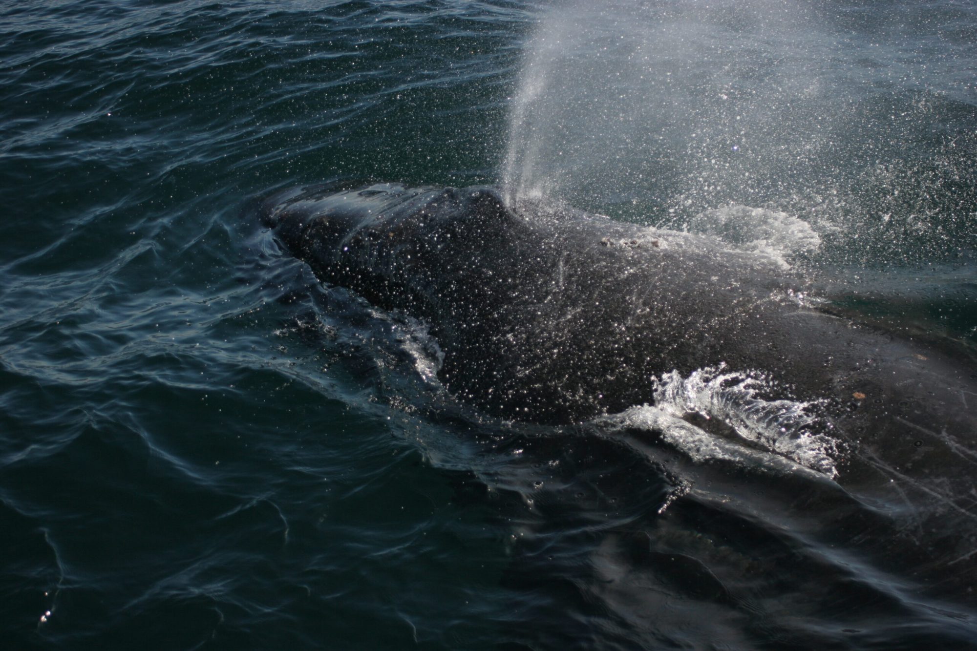 a man riding a wave on a surfboard in the water