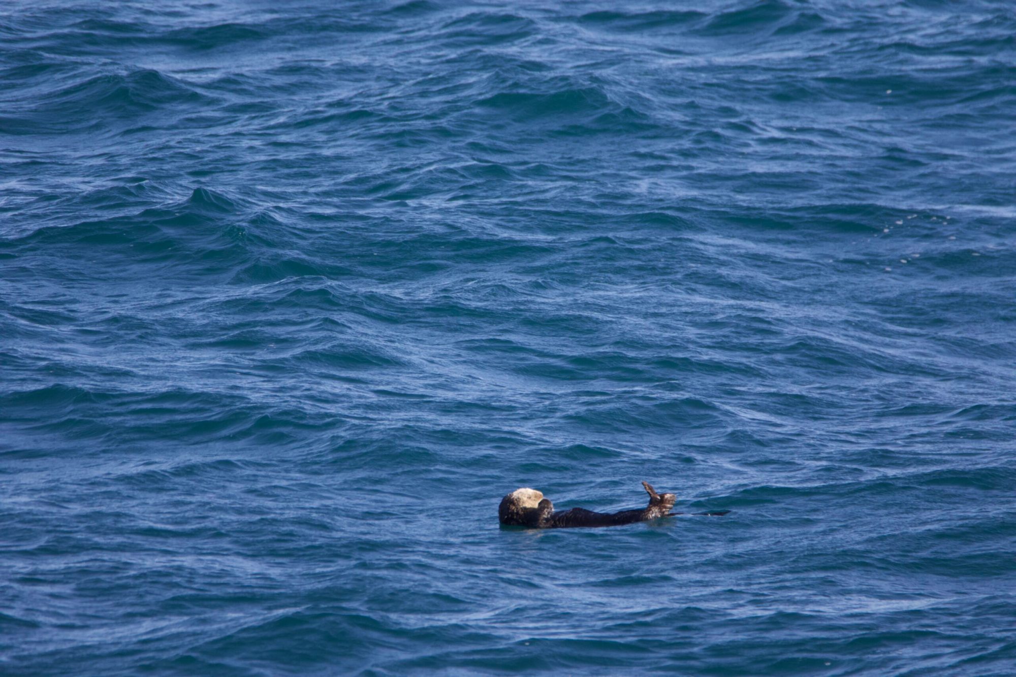 a man standing next to a body of water