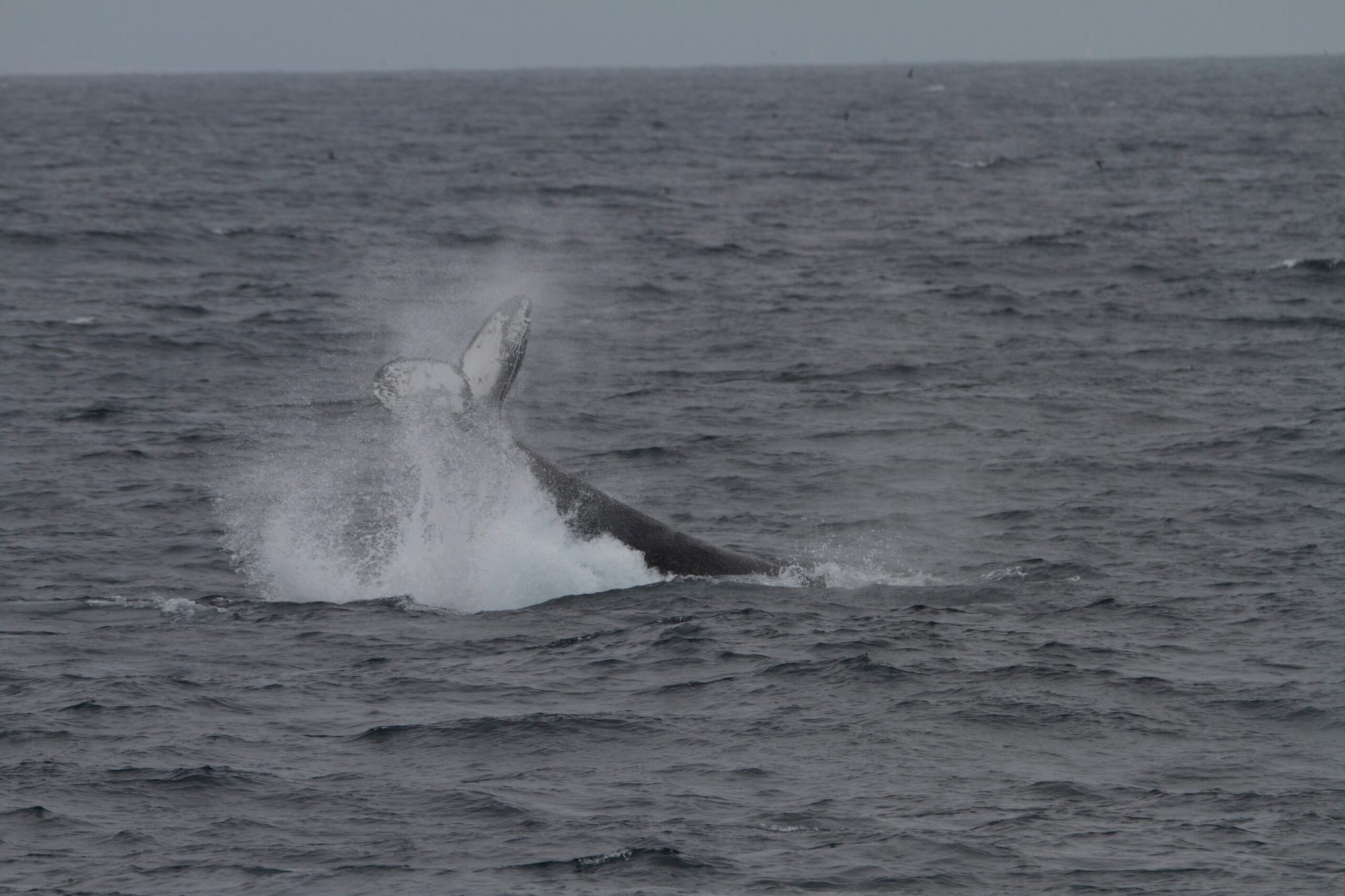 a man riding a wave on a surfboard in the ocean