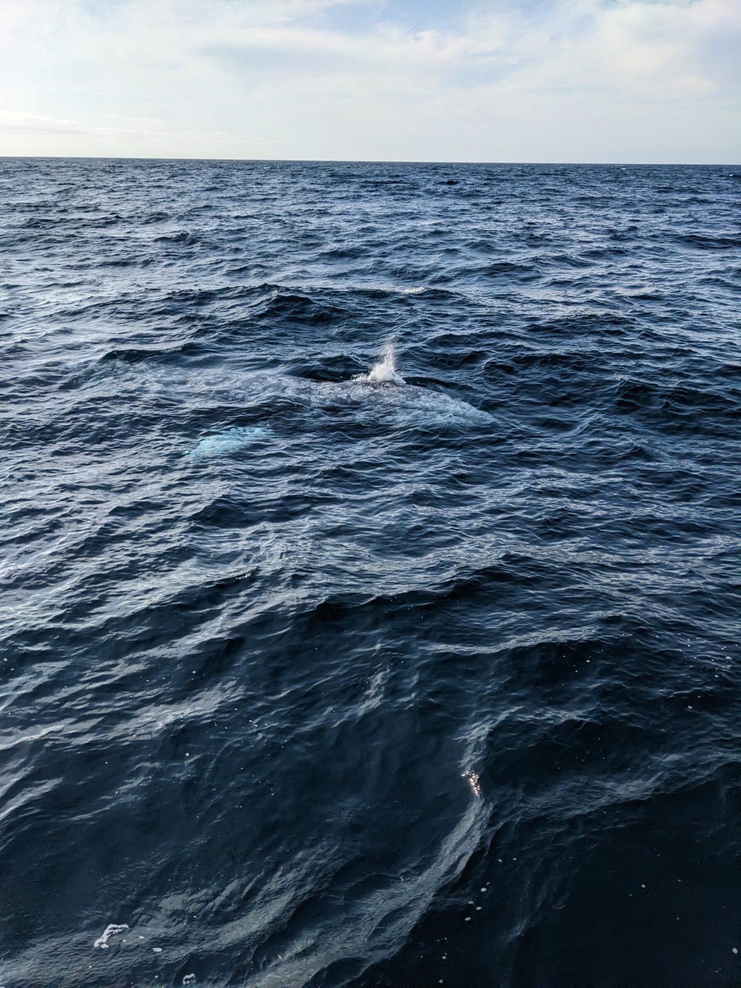 a body of water next to the ocean