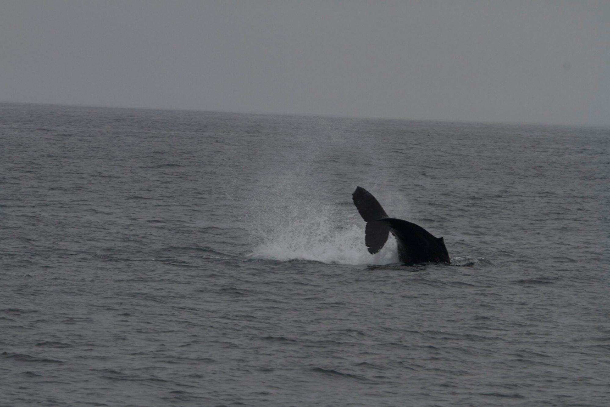 a man riding a wave on top of a body of water