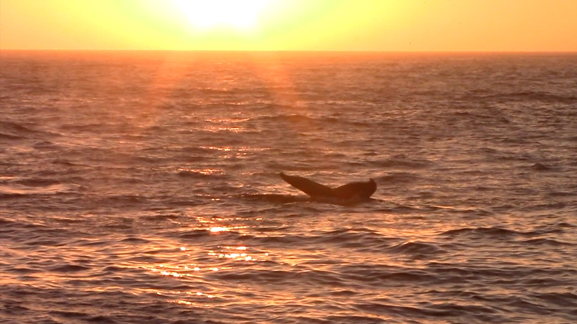 a sunset over a beach next to the ocean