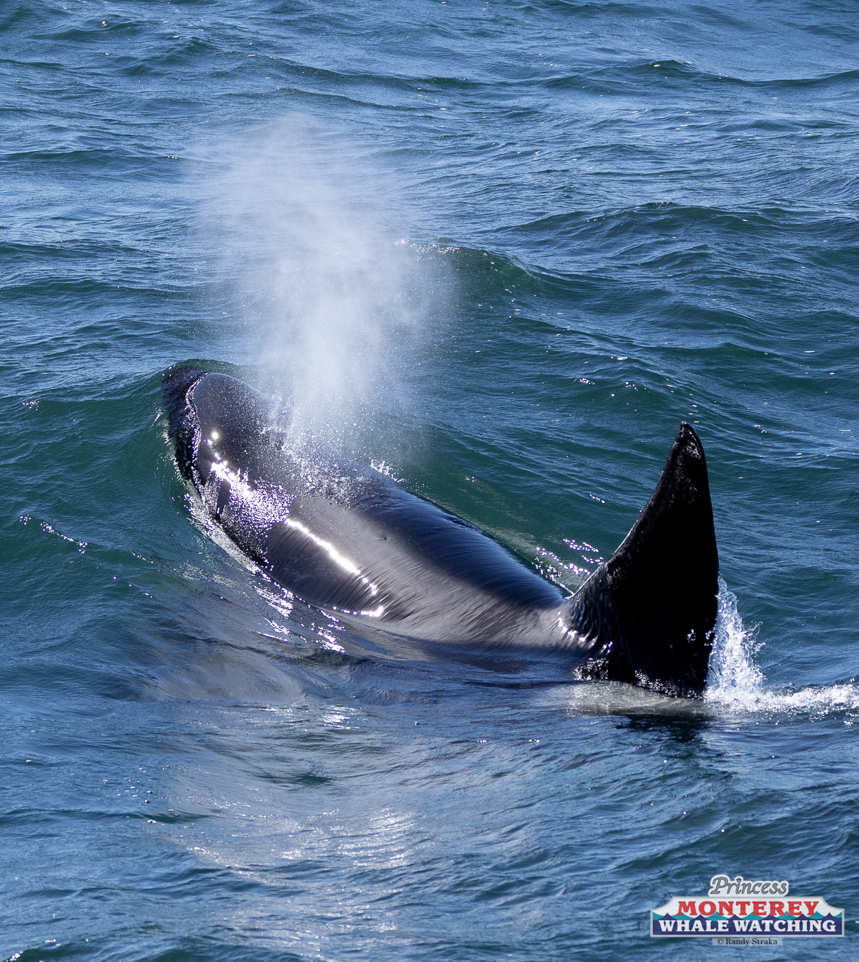 a man riding a wave on top of a body of water