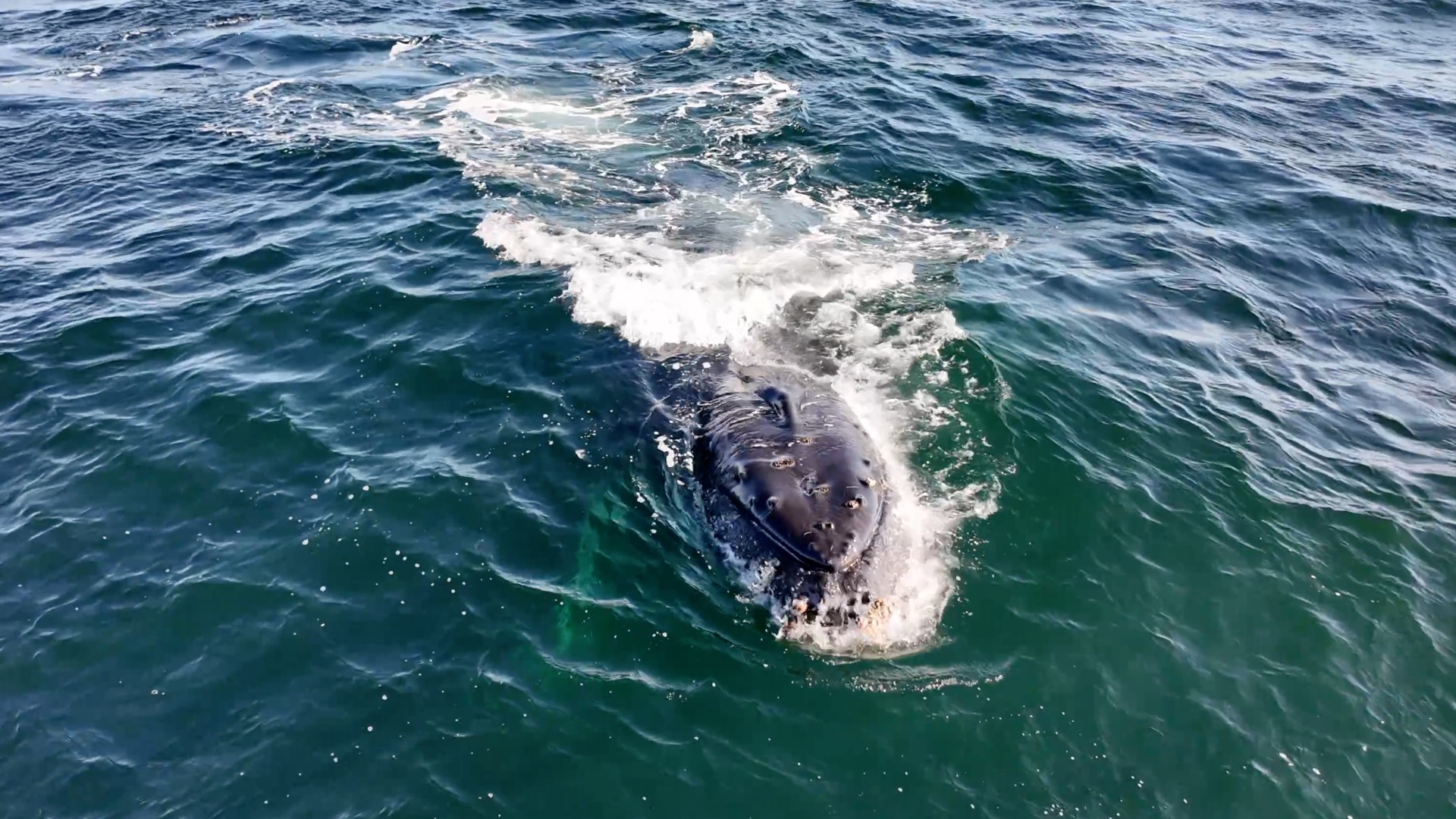 a person riding a wave on a surfboard in the ocean