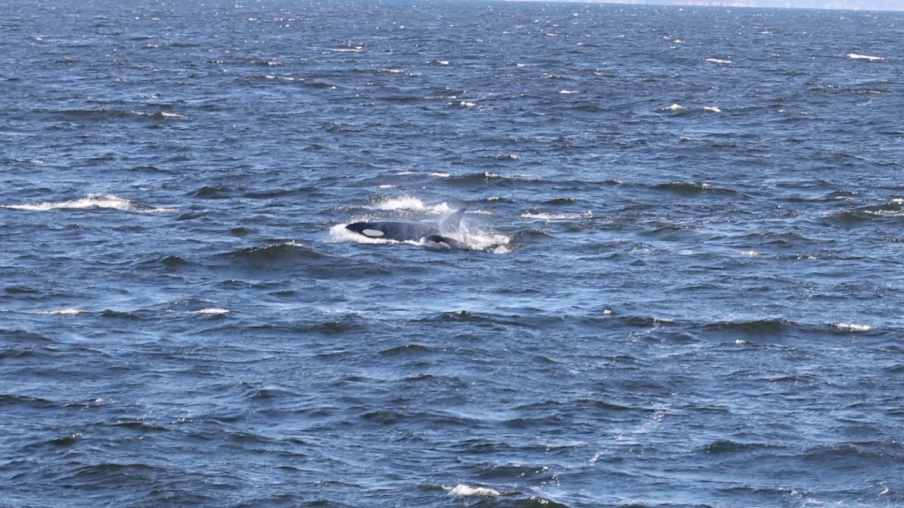 a large body of water