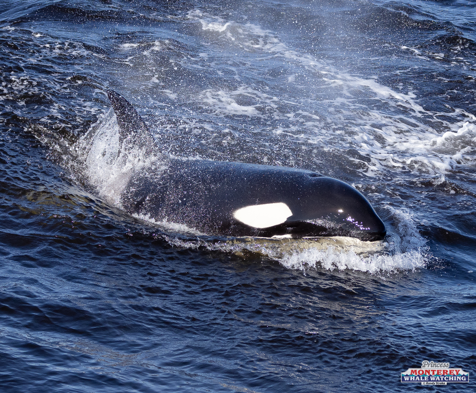 a man riding a wave on top of a body of water