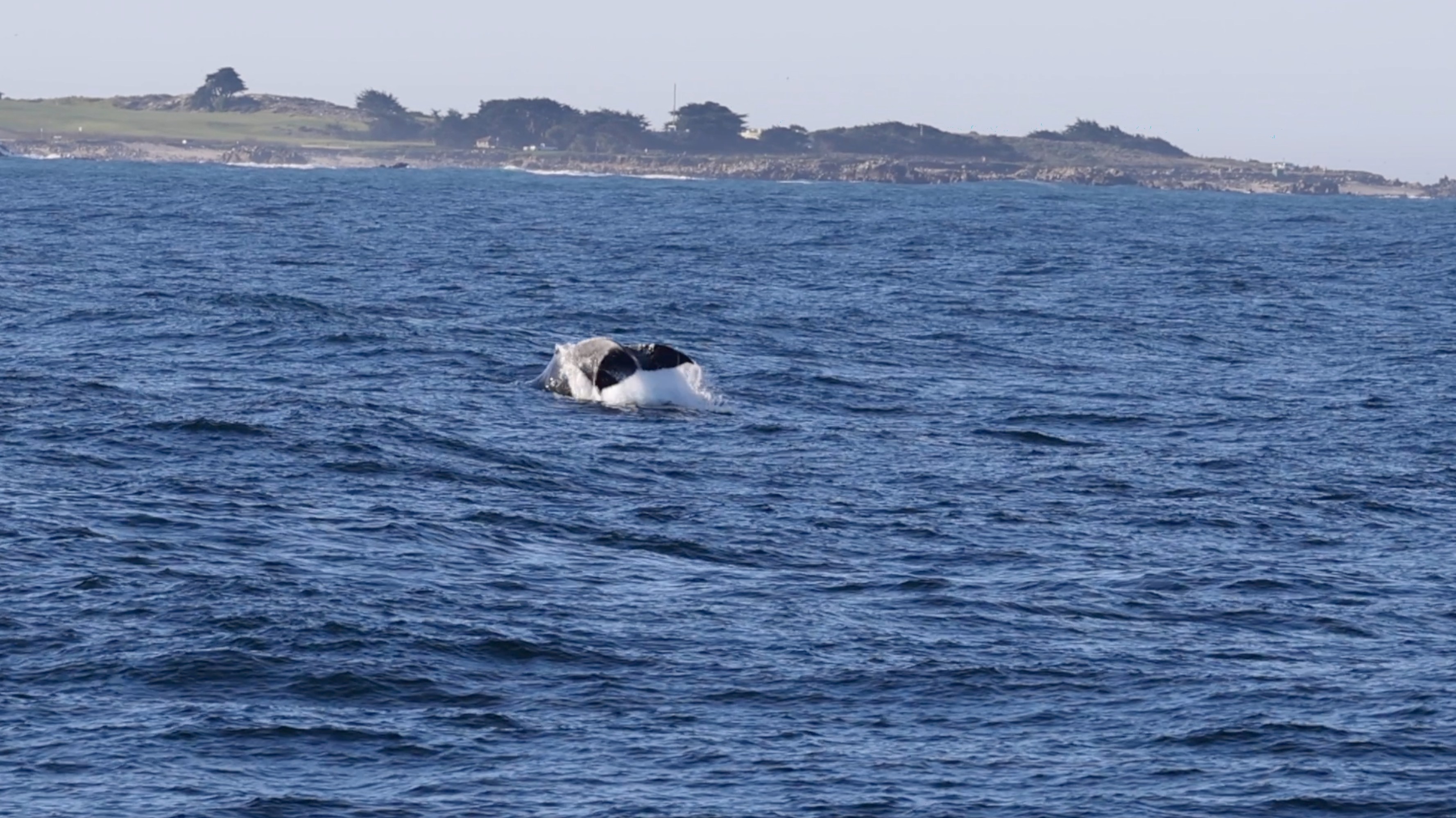 a large body of water