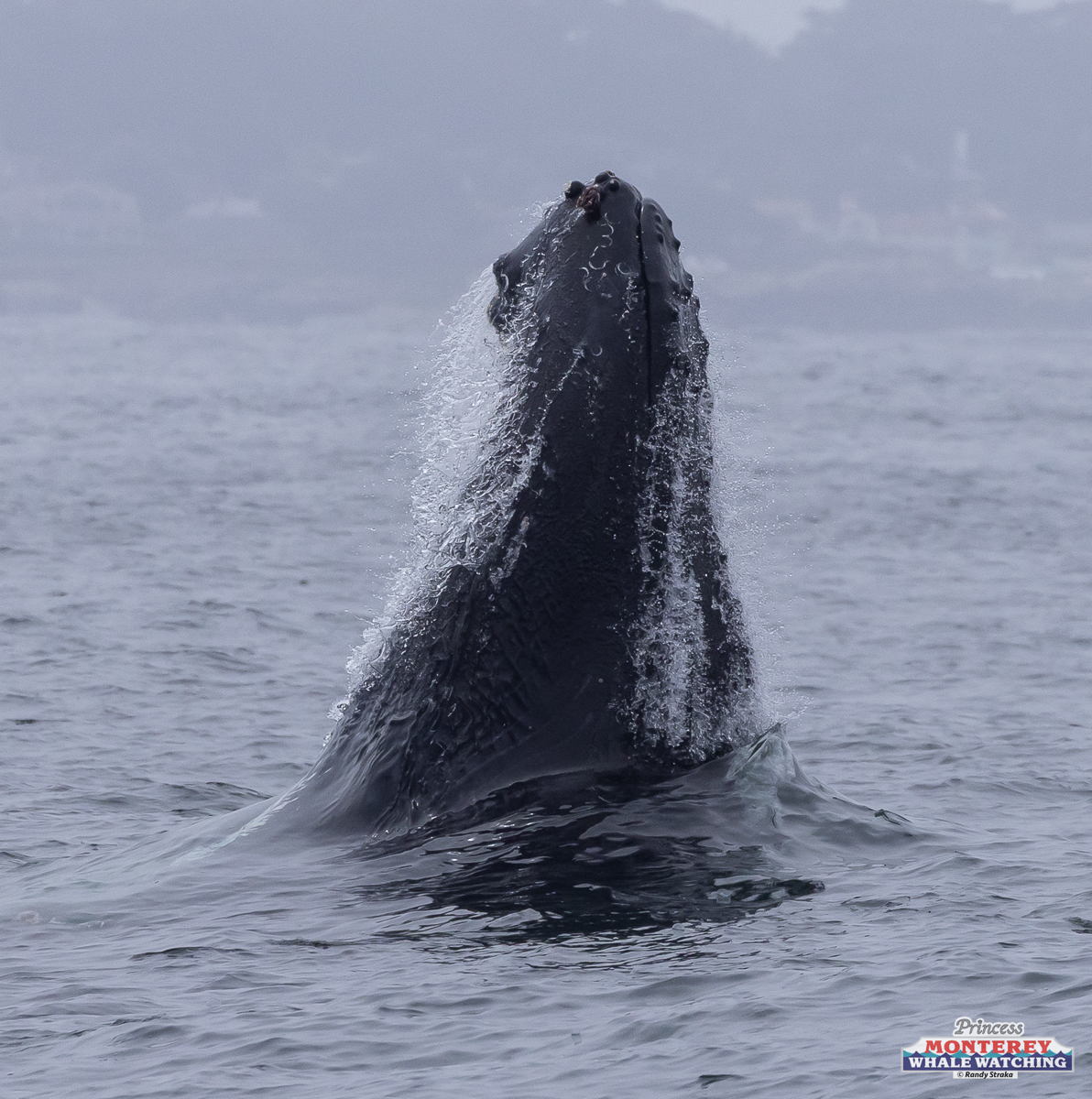 a man riding a wave on a surfboard in the water