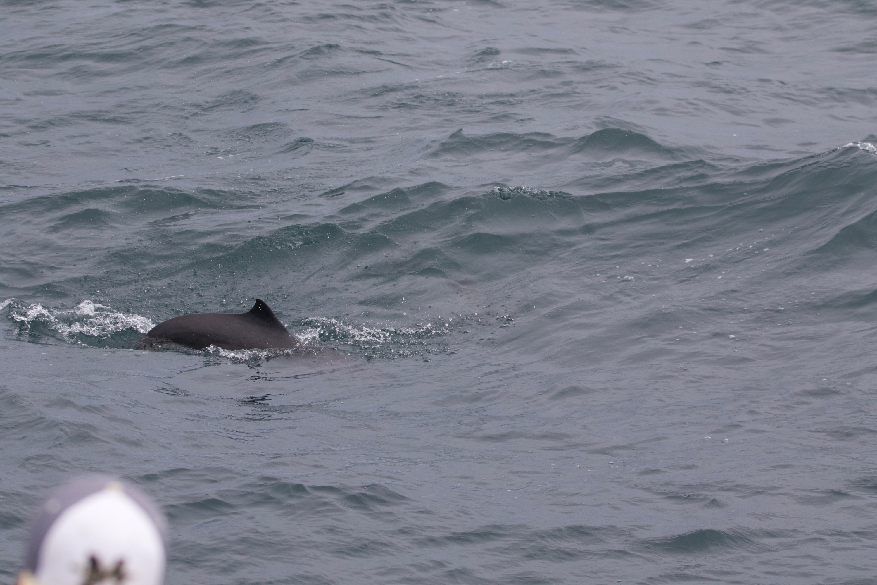 a person riding a wave on top of a body of water