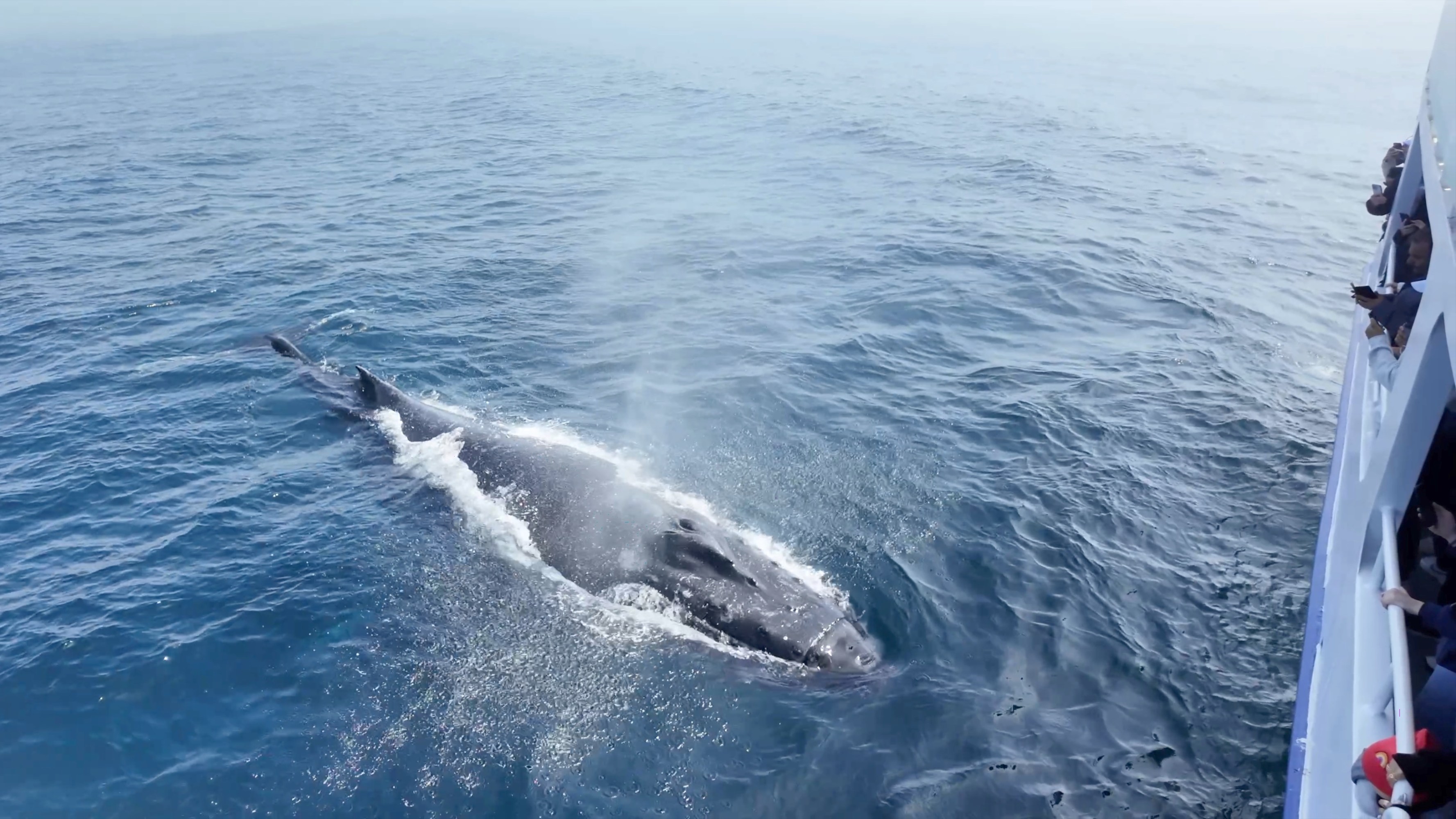 a man riding a wave on top of a body of water