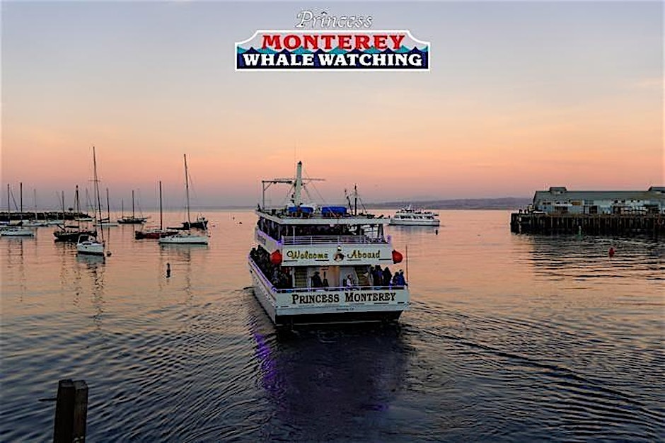 Whale watching boat departs harbor at sunset with sign overhead, 'Monterey Whale Watching.'